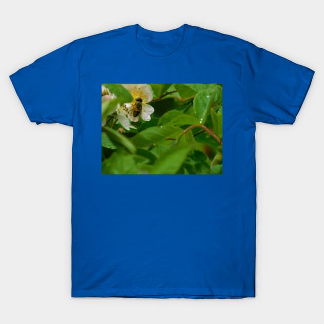 The Pollinator T-Shirt by FriendlyComputerHelp